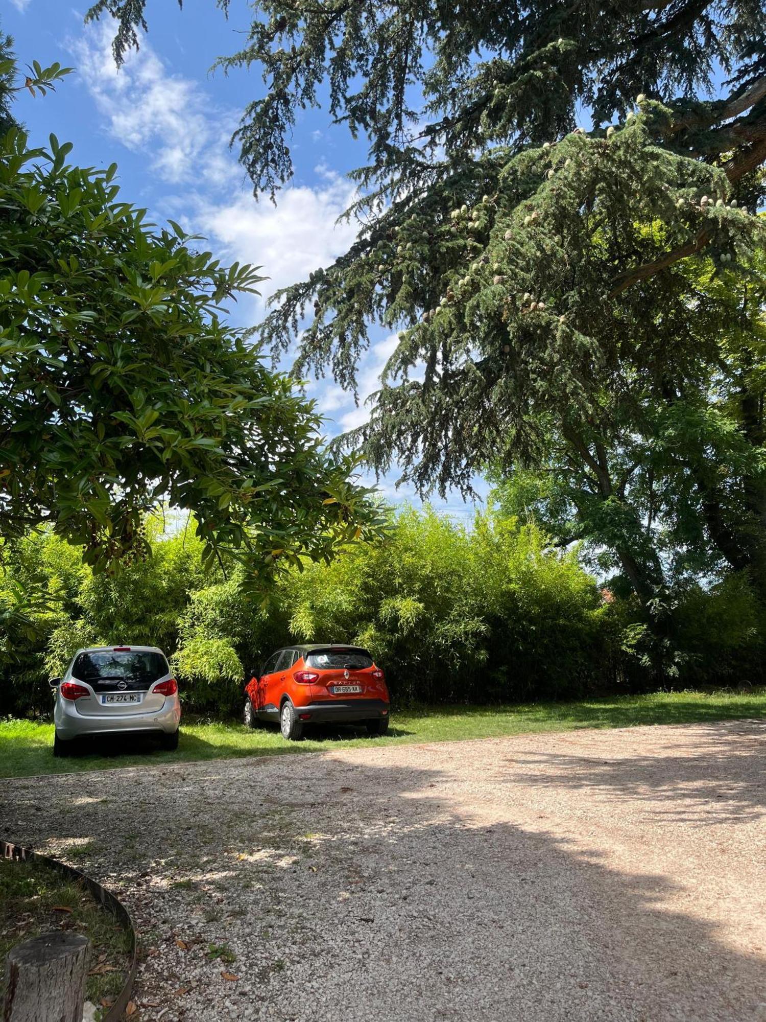 Le Clos Du Cedre Saint-Ouen (Loir-et-Cher) Exterior foto