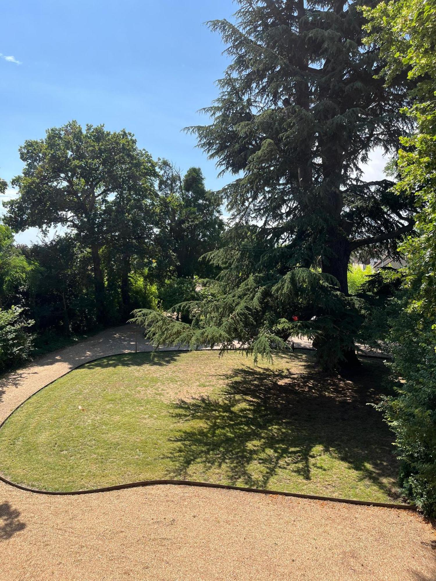 Le Clos Du Cedre Saint-Ouen (Loir-et-Cher) Exterior foto