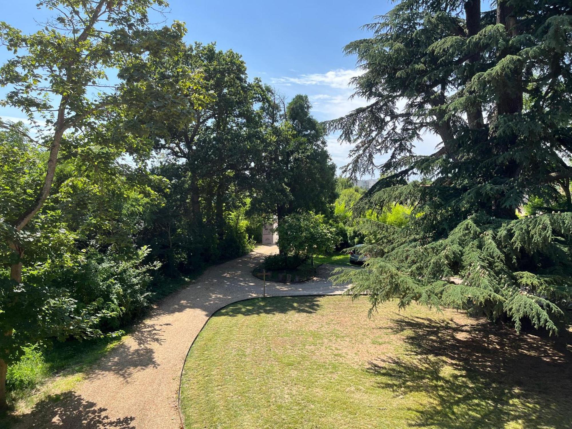 Le Clos Du Cedre Saint-Ouen (Loir-et-Cher) Exterior foto
